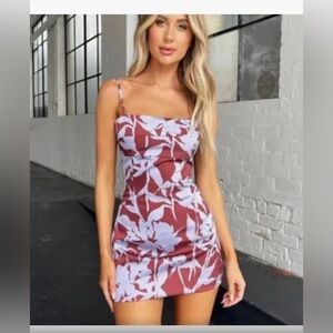 NWT TIGERMIST FELICIA MINI